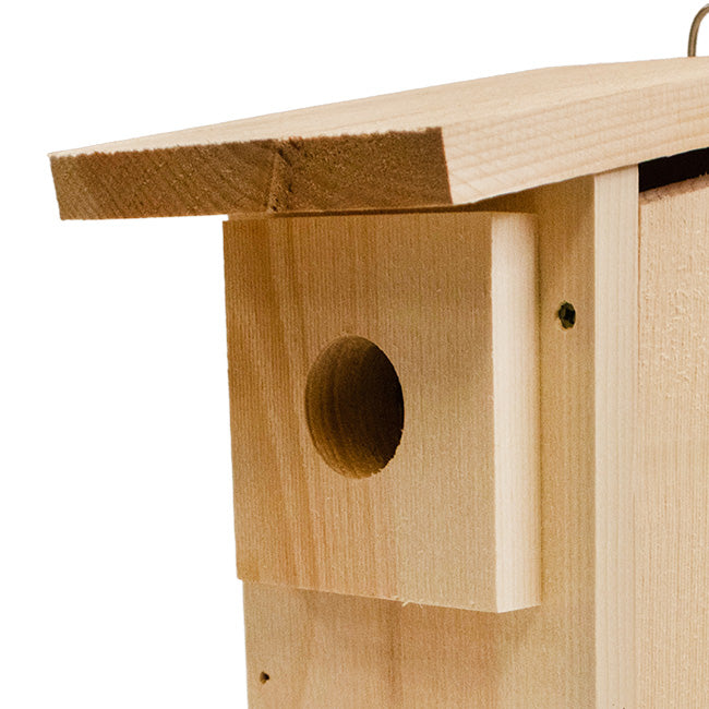 Western Bluebird House DIY Kit