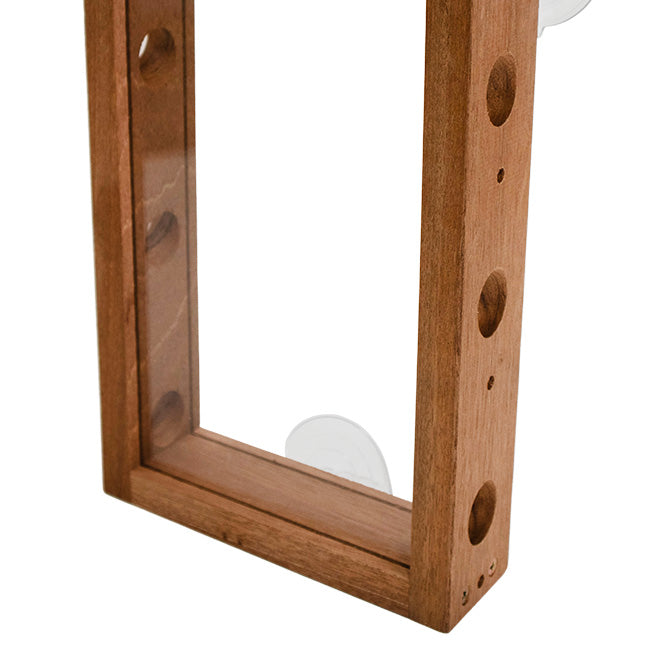 Six Port Window Bird Feeder