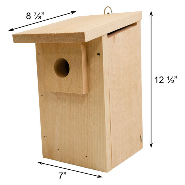 Basic Western Bluebird Trail Box