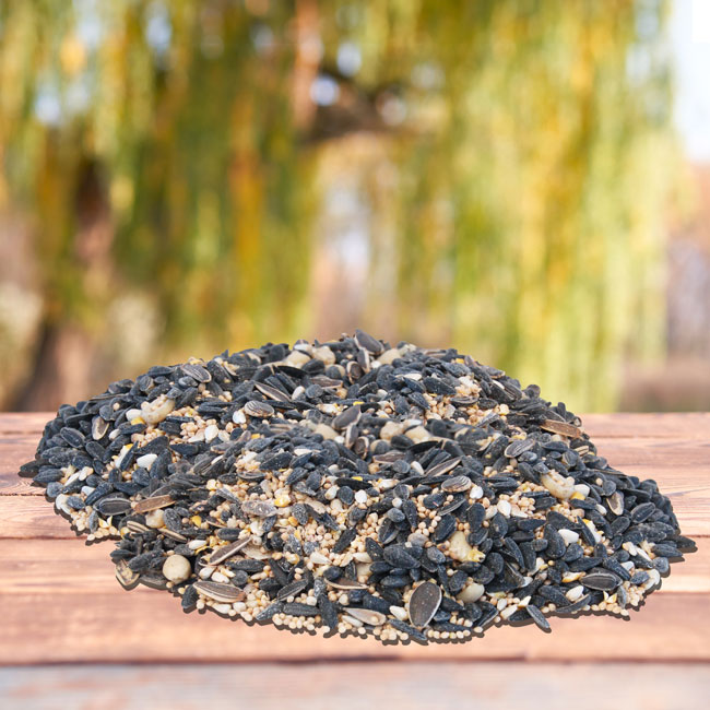 Wild Bird Seed Mix, Divine Blend, 10 lbs.