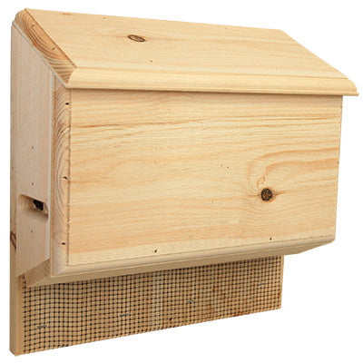 Sunshine's Bat House, 200 bats