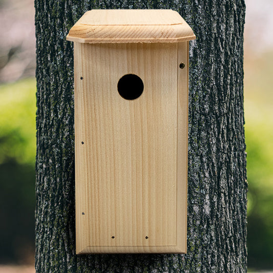 Nuthatch House