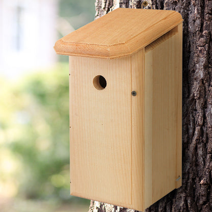 House Wren Bird House