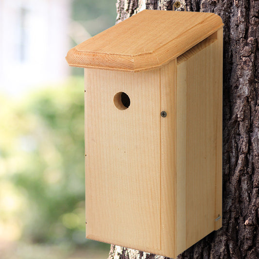 House Wren Bird House