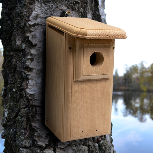 Premium Two-Sided Observation Bluebird House