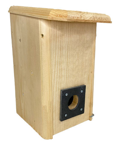 Small Winter Roost