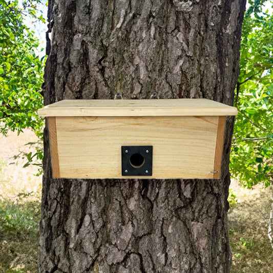 Horizontal Winter Roost