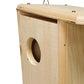 Squirrel House