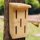 Small Butterfly House