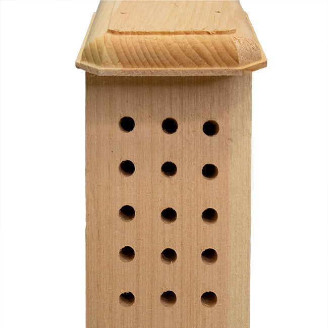 Solitary Bee House