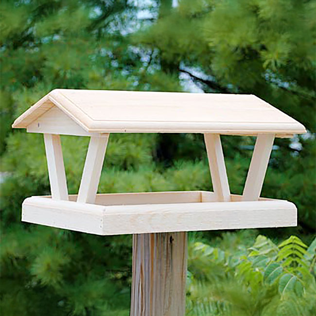 Coveside Cottage Bird Feeder