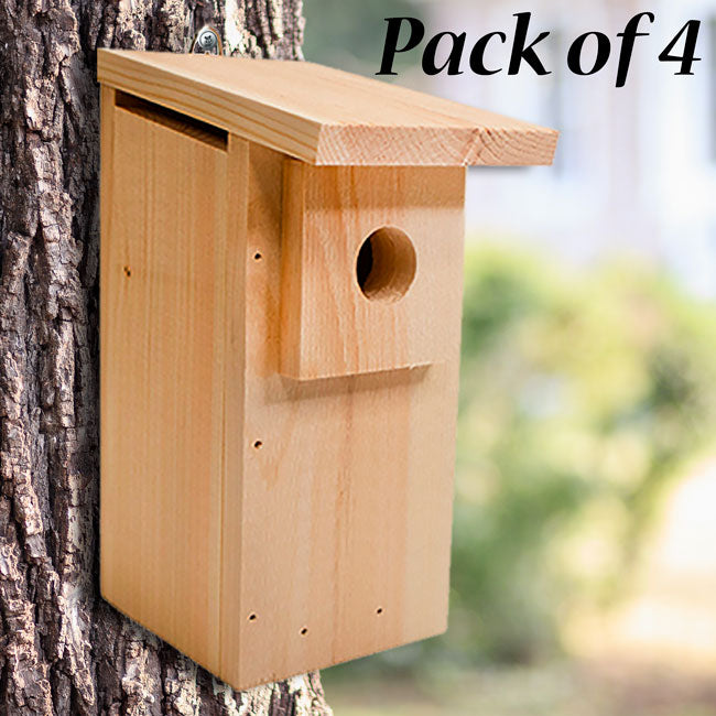Eastern Bluebird House DIY Kit