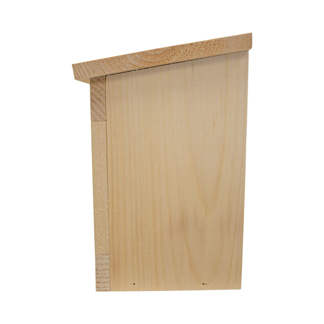 Coveside Pine Squirrel Slammer Feeder