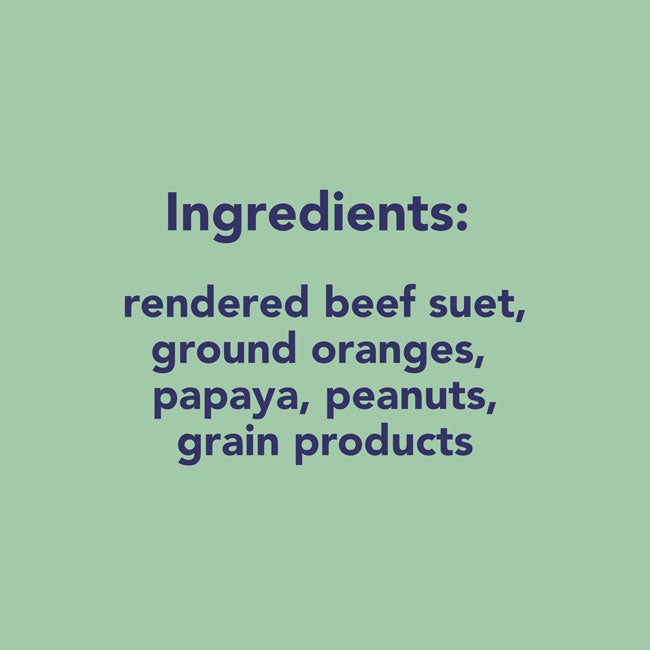 Pine Tree Farms Orange Suet Dough, 12 oz., Pack of 24