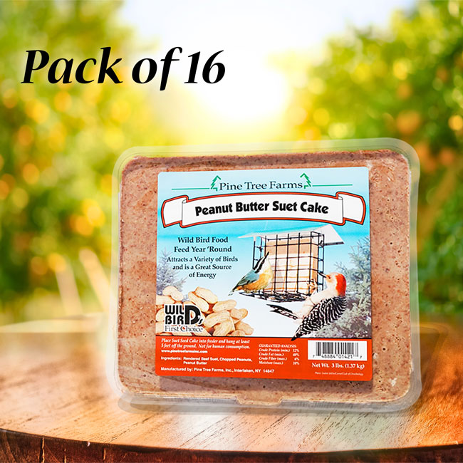 Pine Tree Large Peanut Butter Suet Cakes, 3 lbs., Pack of 16