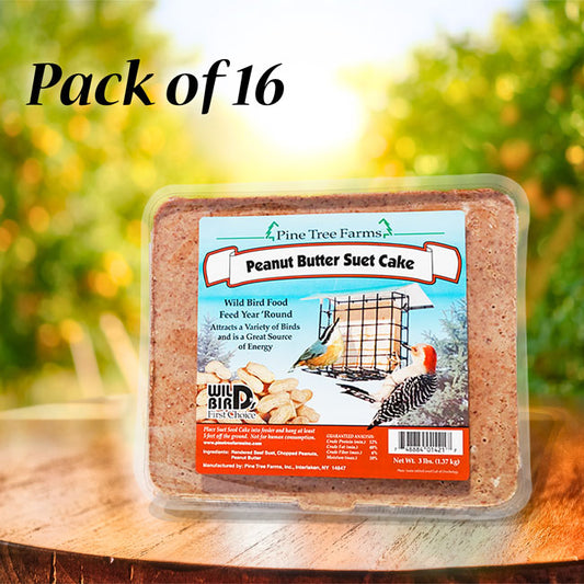 Pine Tree Large Peanut Butter Suet Cakes, 3 lbs., Pack of 16