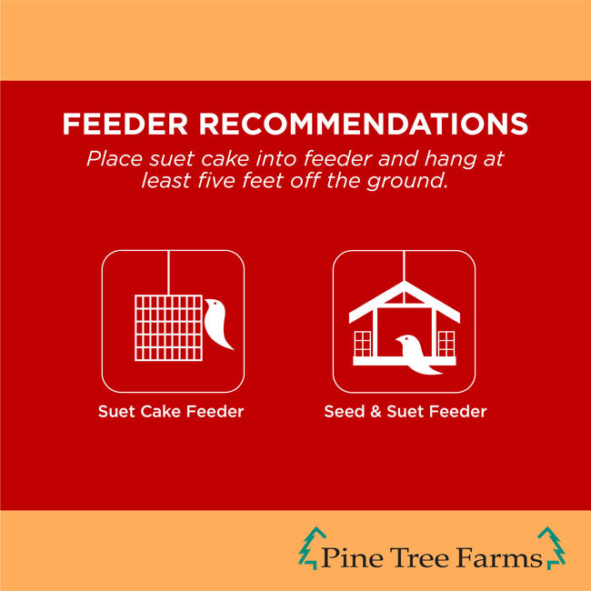 Pine Tree Never Melt Hot Pepper Suet Cakes, 12 oz, 24 Cakes