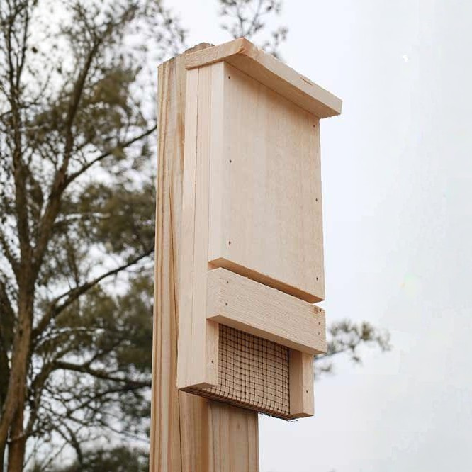 Mini Bat House, 12 bats
