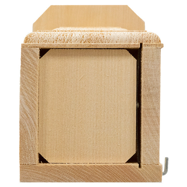 Observation Bluebird House