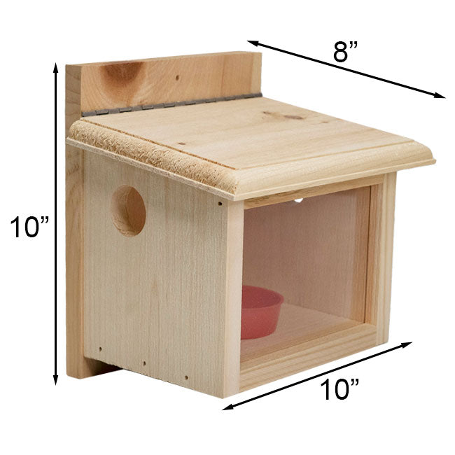 Post-Mount Bluebird Feeder