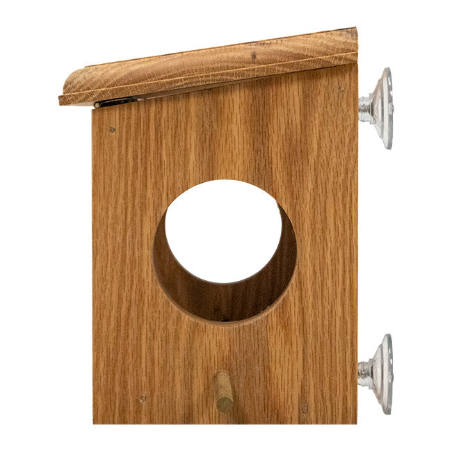 Premium Dual Side Entry Window Bird Feeder Coveside Conservation Products