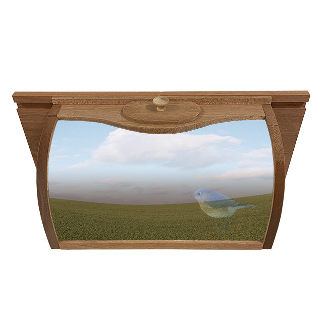 In-House Breadbox Window Bird Feeder w/ Mirror