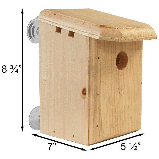 Window Nest Box Kit